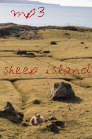 sheep_island